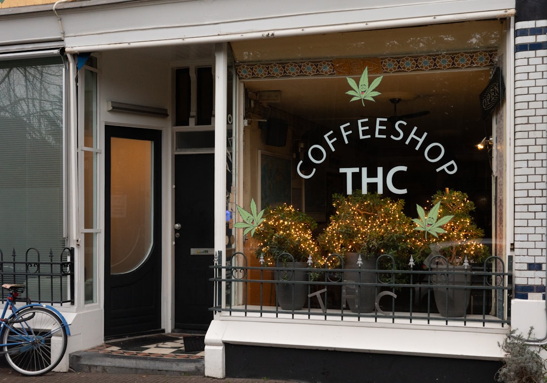 Cosy coffeeshop interior
